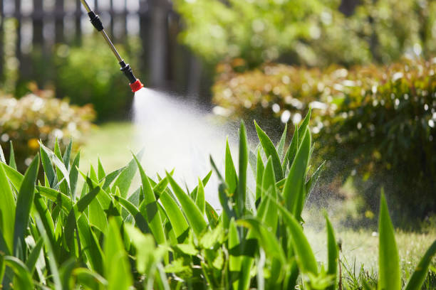 24/7 Emergency Mosquito Control experts in Indian Harbour Beach, FL