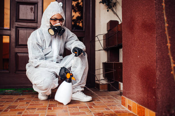 Reliable Mosquito Control contractor in Indian Harbour Beach, FL by Show Me Pest Control